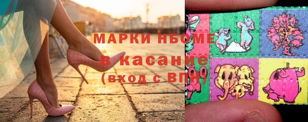 ECSTASY Богородск
