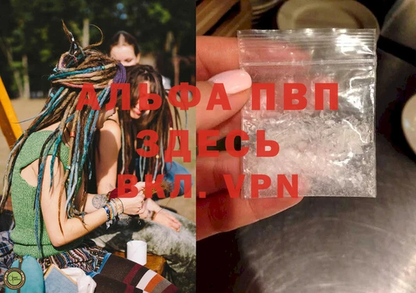 дурь Богданович