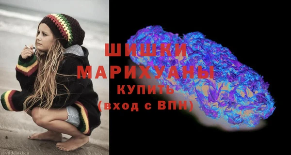 стаф Белокуриха