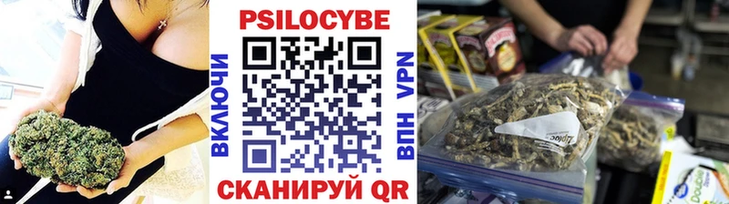Псилоцибиновые грибы прущие грибы  Вятские Поляны 